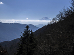 柳沢峠　富士山　