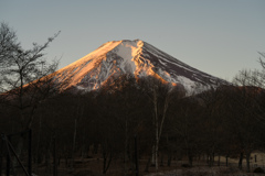 富士山1