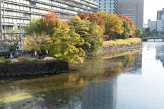 大都会の紅葉