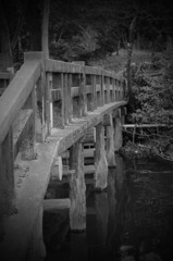 三鷹の風景「井の頭公園」