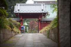 紅葉は・・あと1歩