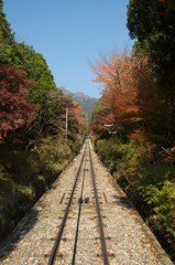 山頂への道