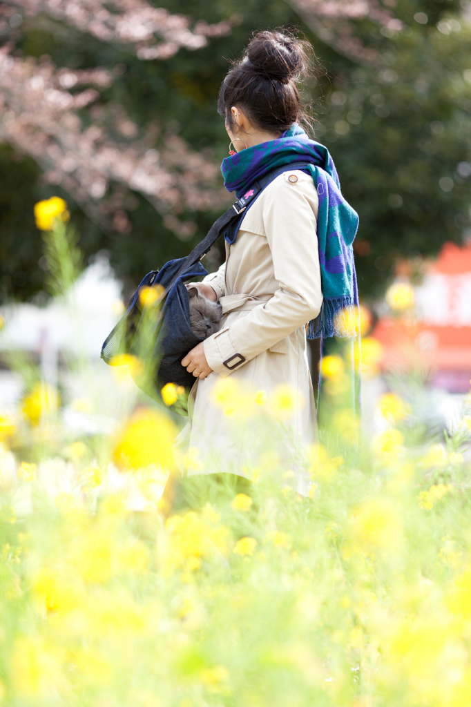 NAの花