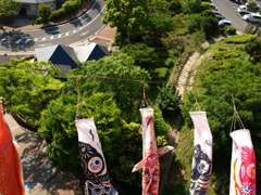 屋根より高い鯉のぼり♪