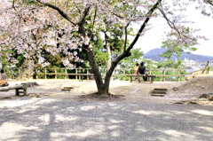春のひととき