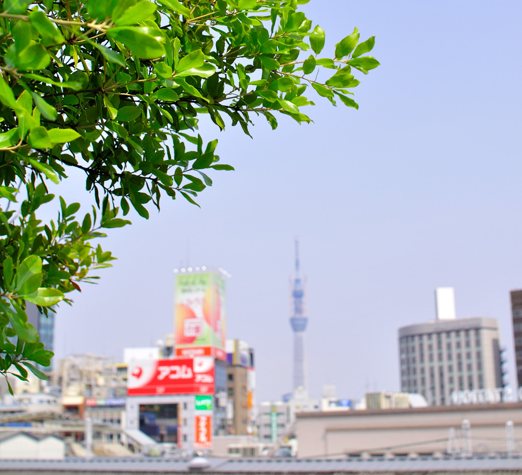 skyTreeeeee_ueno_02