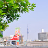 skyTreeeeee_ueno_02