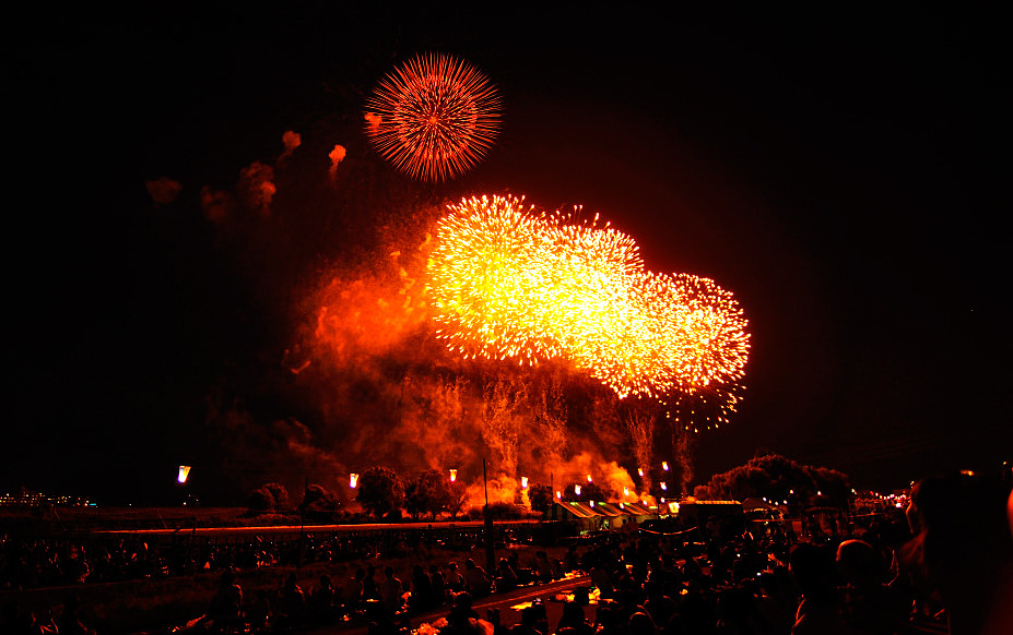 FireFlower_002