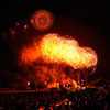 FireFlower_002
