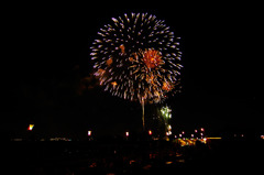 FireFlower_004