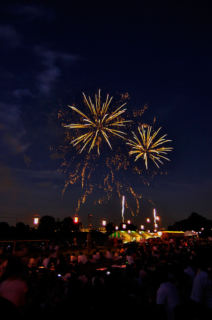 FireFlower_001