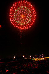 FireFlower_005