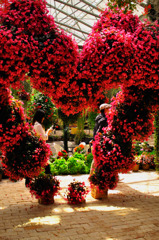 flower HEART