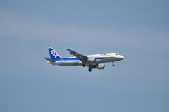 ANA