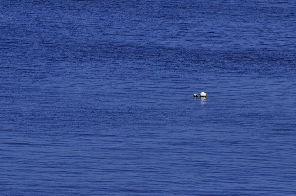 _DSC0071_01
