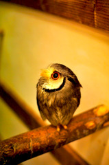 _DSC0957
