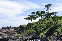 _DSC0150