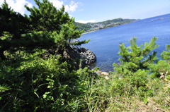 _DSC0050