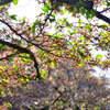 _DSC0621