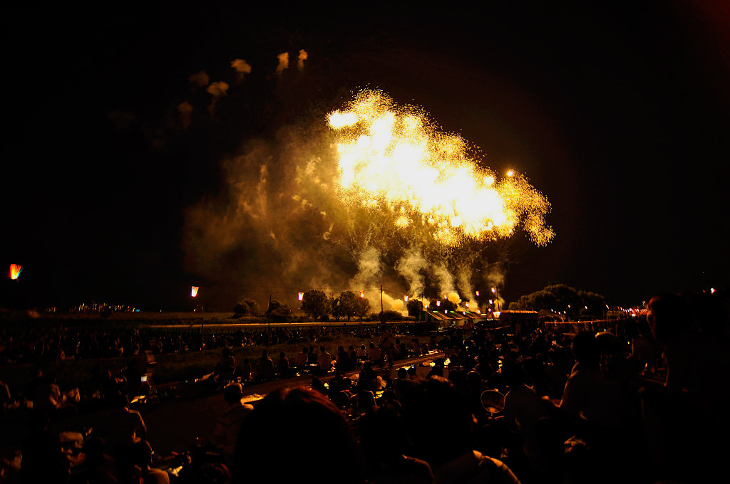 FireFlower_003