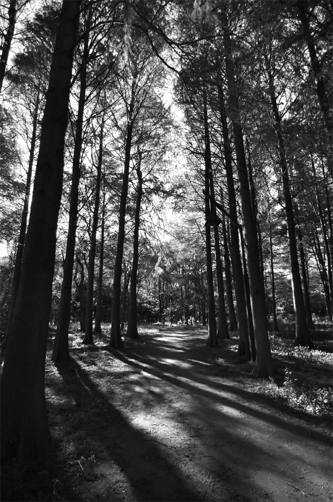 _DSC0470