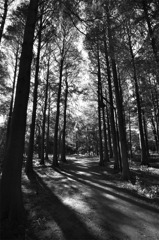 _DSC0470