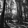 _DSC0470