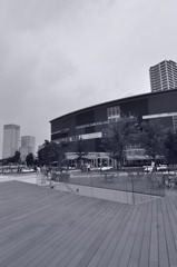 _DSC0081