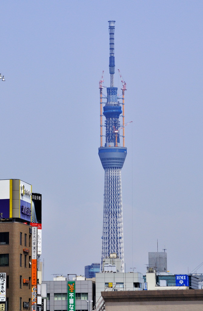 skyTreeeeee_ueno_01