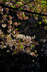 _DSC0625