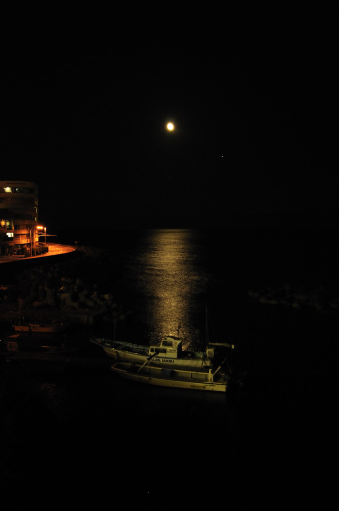 _DSC0356