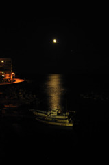 _DSC0356