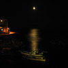 _DSC0356