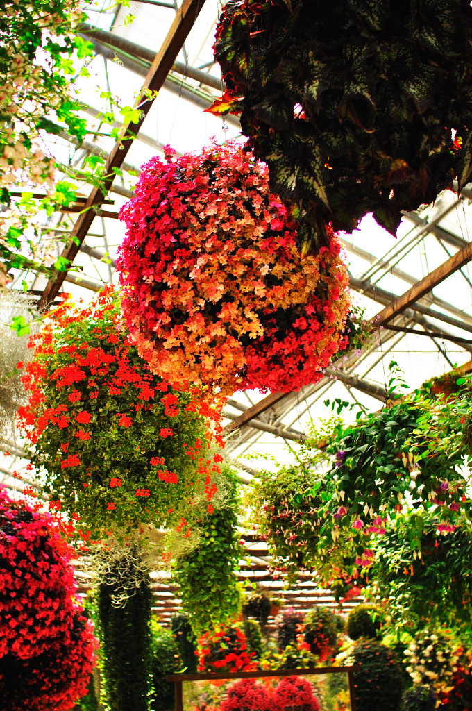 flowerBall 02