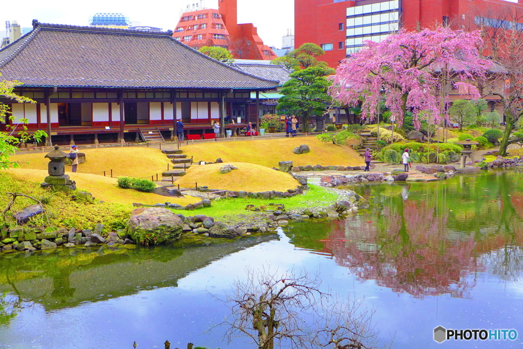 伝法院庭園のリフレクション
