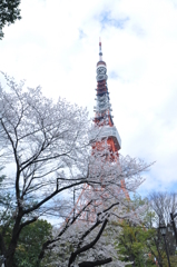止まれを入れないとこうなるの