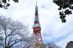 くもー！
