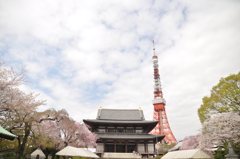 増上寺です