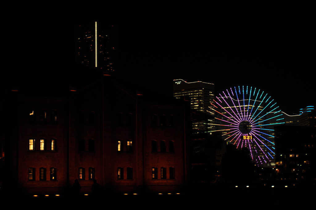 DSC_0895