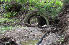 水の通り道