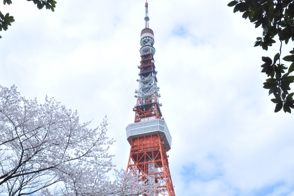 青空は臨めなかったなぁ