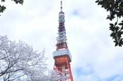 青空は臨めなかったなぁ