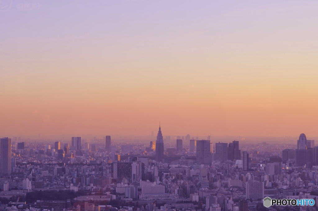 新宿の夕景