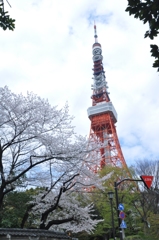 他のカメラマンと場所の取り合いをした場所ｗ