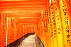 千本鳥居