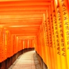 千本鳥居