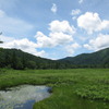 尾瀬の池塘