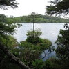 白駒の池 - ②