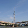 スカイツリー