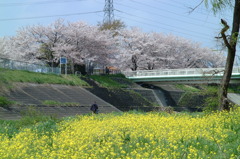 水遊び